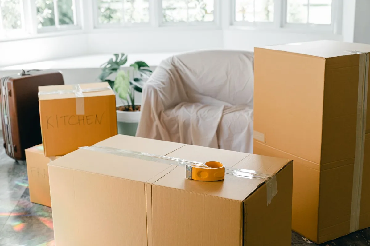 Hoarding Cleanup in Childs Park, St. Petersburg, FL